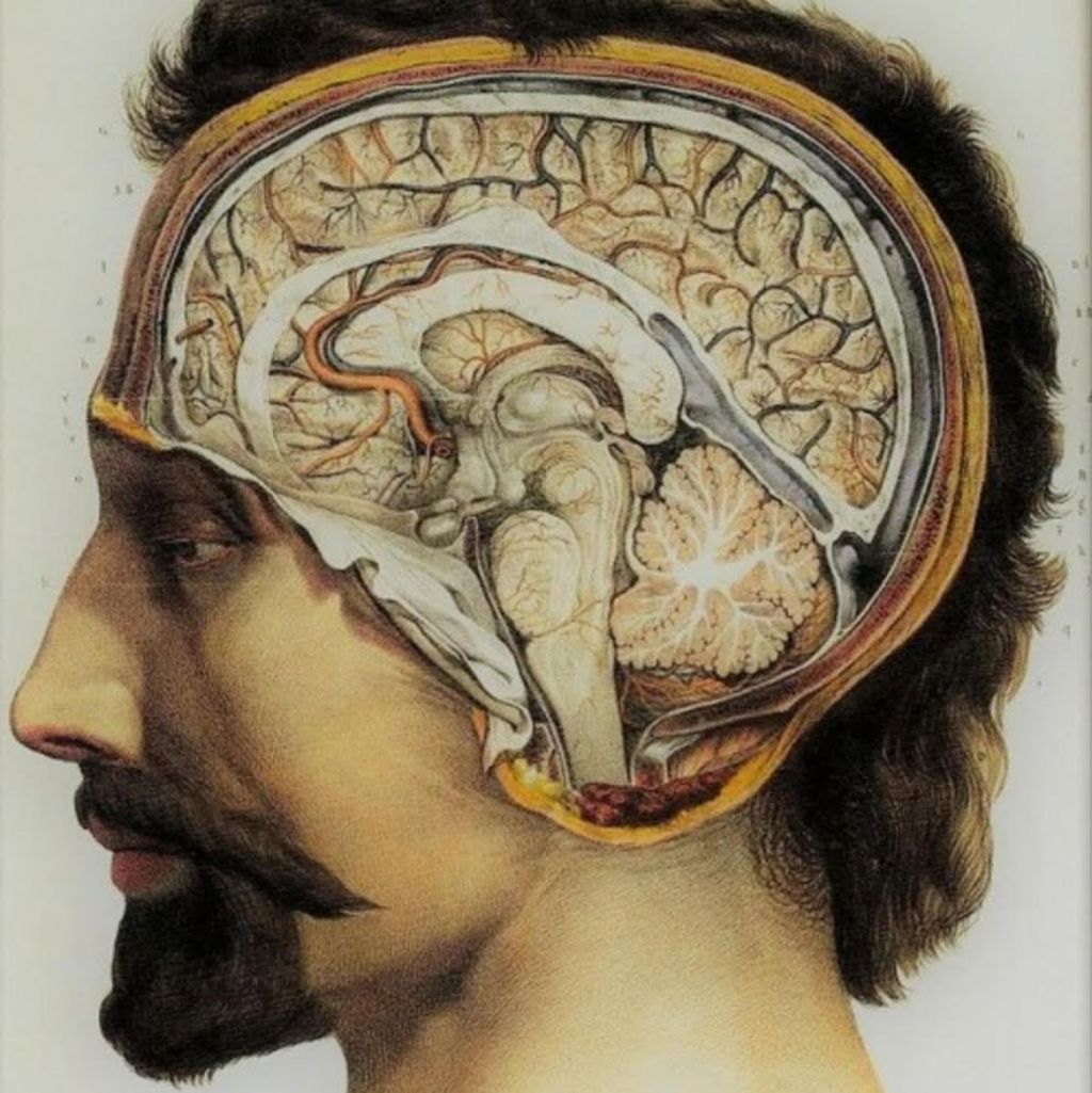 Neuromantics discuss Letters from&nbsp;Isohe