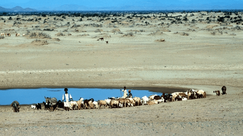 Barefoot in the forests of&nbsp;Sudan