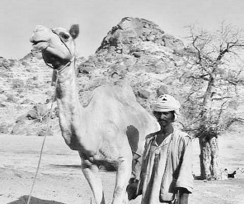 The Amulet: “A rare and moving memoir”