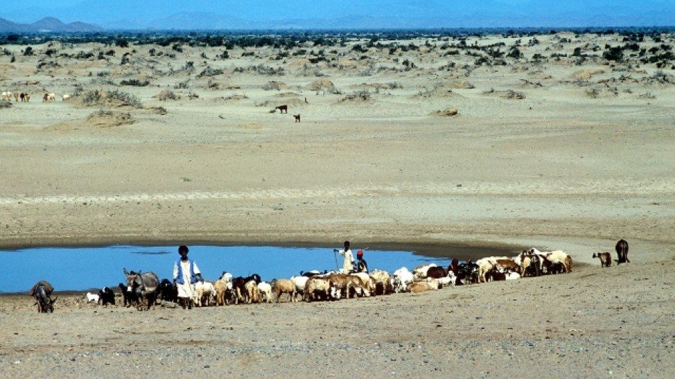 Barefoot in the forests of&nbsp;Sudan